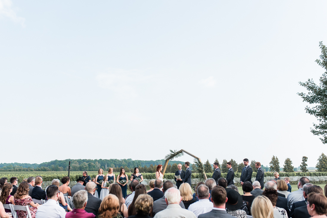 Cooper's Hawk Vineyards Wedding