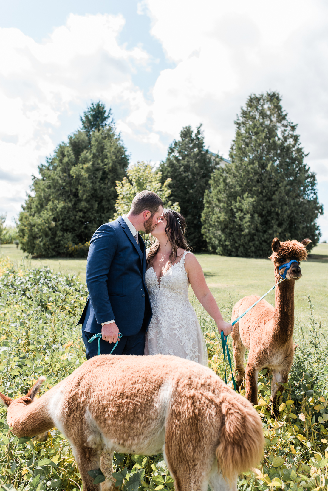 Gorrie Ontario Backyard Wedding