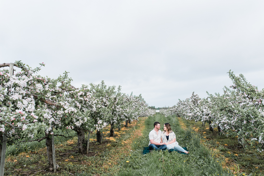 Apple Orchard Engagement Session