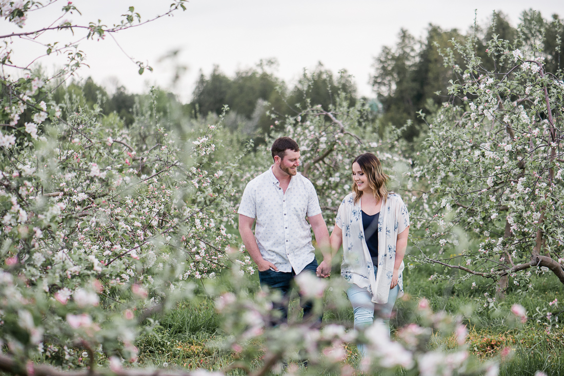 Apple Orchard Engagement Session