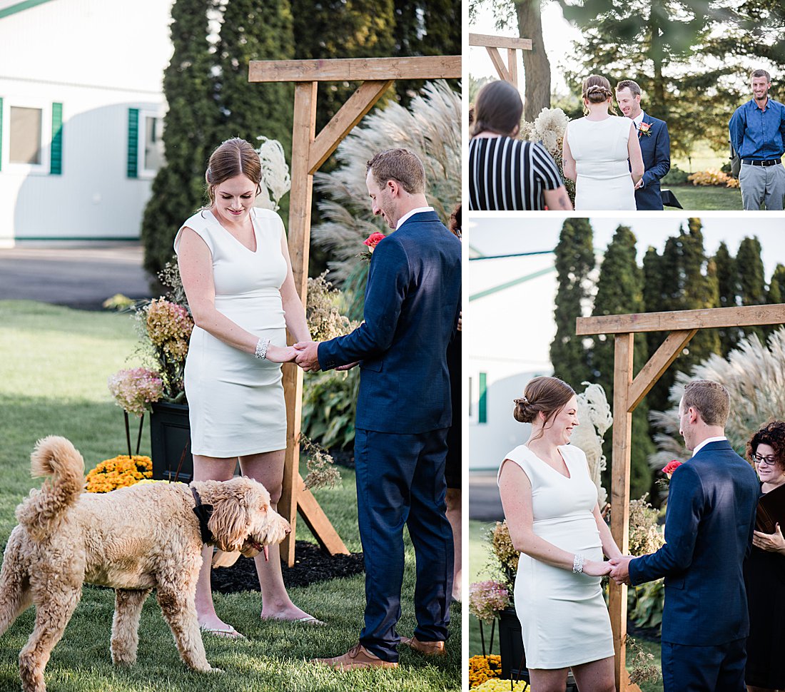 Goderich Backyard Wedding