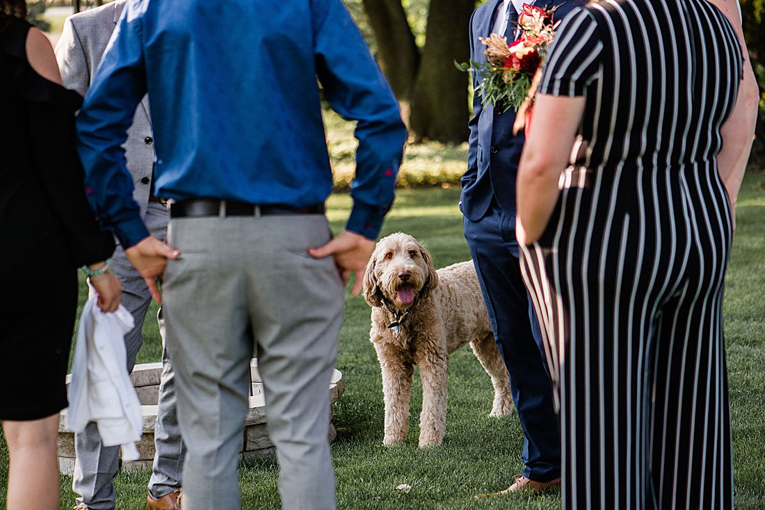 Goderich Backyard Wedding